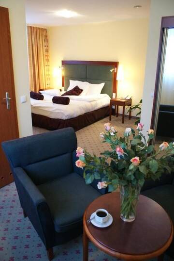 Фото номера Одноместный номер Отель Hotel Wilga by Katowice Airport г. Пирзовице 4