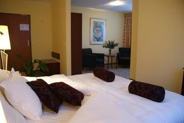 Фото номера Одноместный номер Отель Hotel Wilga by Katowice Airport г. Пирзовице 5