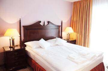 Фото номера Двухместный номер с 1 кроватью Отель Hotel Iskra by Katowice Airport г. Пирзовице 4